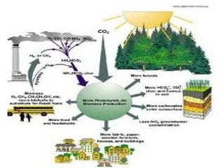 Global warming gases in the environment

 