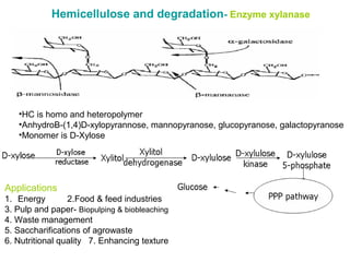 Biodegradation and bioconversion of lignocellulosic waste
in the environment
Fermentation

Bioethanol
1.Cellulases
2.Xylan...