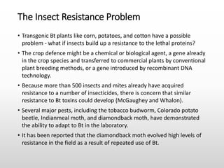 The Insect Resistance Problem
• Transgenic Bt plants like corn, potatoes, and cotton have a possible
problem - what if insects build up a resistance to the lethal proteins?
• The crop defence might be a chemical or biological agent, a gene already
in the crop species and transferred to commercial plants by conventional
plant breeding methods, or a gene introduced by recombinant DNA
technology.
• Because more than 500 insects and mites already have acquired
resistance to a number of insecticides, there is concern that similar
resistance to Bt toxins could develop (McGaughey and Whalon).
• Several major pests, including the tobacco budworm, Colorado potato
beetle, Indianmeal moth, and diamondback moth, have demonstrated
the ability to adapt to Bt in the laboratory.
• It has been reported that the diamondback moth evolved high levels of
resistance in the field as a result of repeated use of Bt.
 