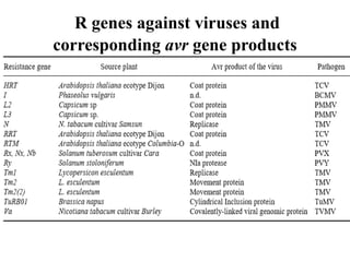 Biotechnological approches in disease management | PPTX