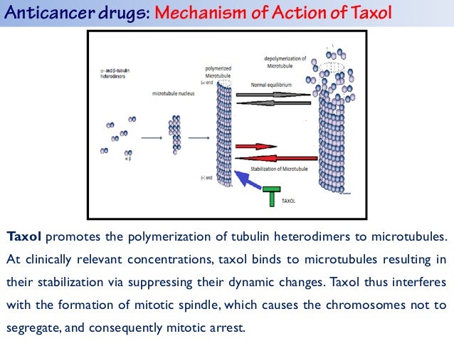 Drugs That Are Natural Products Drugs That Are Natural Products