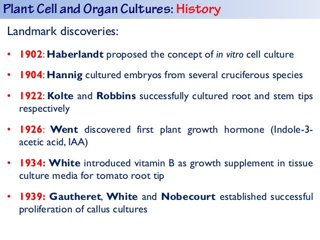 Biotechnological production of natural products by Dr ...