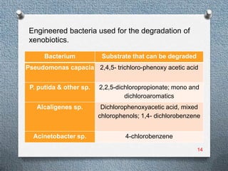 Engineered bacteria used for the degradation of
 xenobiotics.

      Bacterium           Substrate that can be degraded
Pseudomonas capacia 2,4,5- trichloro-phenoxy acetic acid


 P. putida & other sp.   2,2,5-dichloropropionate; mono and
                                  dichloroaromatics
   Alcaligenes sp.        Dichlorophenoxyacetic acid, mixed
                         chlorophenols; 1,4- dichlorobenzene


  Acinetobacter sp.               4-chlorobenzene

                                                           14
 
