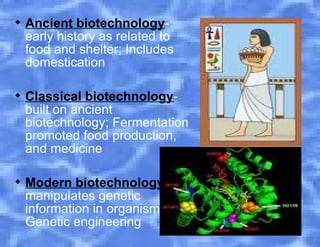 First Biotechnology Biotechnology | POT