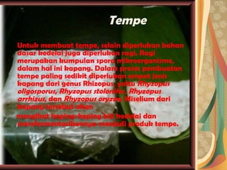Tempe Untuk membuat tempe, selain diperlukan bahan dasar kedelai juga diperlukan ragi. Ragi merupakan kumpulan spora mikroorganisme, dalam hal ini kapang. Dalam proses pembuatan tempe paling sedikit diperlukan empat jenis kapang dari genus Rhizopus, yaitu  Rhyzopus oligosporus ,  Rhyzopus stolonifer ,  Rhyzopus arrhizus , dan  Rhyzopus oryzae . Miselium dari kapang tersebut akan mengikat keping-keping biji kedelai dan memfermentasikannya menjadi produk tempe. 