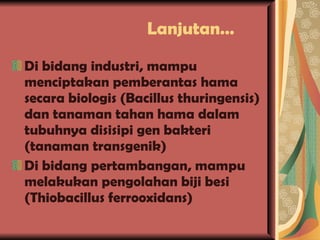 Lanjutan… Di bidang industri, mampu menciptakan pemberantas hama secara biologis (Bacillus thuringensis) dan tanaman tahan hama dalam tubuhnya disisipi gen bakteri (tanaman transgenik) Di bidang pertambangan, mampu melakukan pengolahan biji besi (Thiobacillus ferrooxidans)  