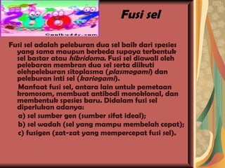 Fusi sel Fusi sel adalah peleburan dua sel baik dari spesies yang sama maupun berbeda supaya terbentuk sel bastar atau  hibridoma . Fusi sel diawali oleh pelebaran membran dua sel serta diikuti olehpeleburan sitoplasma ( plasmogami ) dan peleburan inti sel ( kariogami ). Manfaat fusi sel, antara lain untuk pemetaan kromosom, membuat antibodi monoklonal, dan membentuk spesies baru. Didalam fusi sel diperlukan adanya: a) sel sumber gen (sumber sifat ideal); b) sel wadah (sel yang mampu membelah cepat); c) fusigen (zat-zat yang mempercepat fusi sel). 