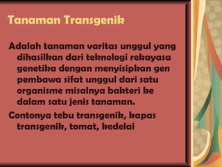Tanaman Transgenik Adalah tanaman varitas unggul yang dihasilkan dari teknologi rekayasa genetika dengan menyisipkan gen pembawa sifat unggul dari satu organisme misalnya bakteri ke dalam satu jenis tanaman. Contonya tebu transgenik, kapas transgenik, tomat, kedelai 