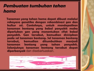 Pembuatan tumbuhan tahan hama Tanaman yang tahan hama dapat dibuat melalui rekayasa genetika dengan rekombinasi gen dan kultur sel. Contohnya, untuk mendapatkan tanaman kentang yang kebal penyakit maka diperlukan gen yang menentukan sifat kebal penyakit. Gen tersebut, kemudian disisipkan pada sel tanaman kentang. Sel tanaman kentang tersebut, kemudian ditumbuhkan menjadi tanaman kentang yang tahan penyakit. Selanjutnya tanaman kentang tersebut dapat diperbanyak  dan disebarluaskan. 