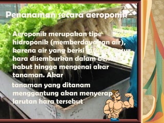 Penanaman secara aeroponik Aeroponik merupakan tipe hidroponik (memberdayakan air), karena air yang berisi larutan unsur hara disemburkan dalam bentuk kabut hingga mengenai akar tanaman. Akar tanaman yang ditanam menggantung akan menyerap larutan hara tersebut . 