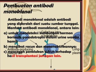 Pembuatan antibodi monoklonal Antibodi monoklonal adalah antibodi yang diperoleh dari suatu sumber tunggal. Manfaat antibodi monoklonal, antara lain: a) untuk mendeteksi kandungan hormon korionik gonadotropin dalam urine wanita hamil; b) mengikat racun dan menonaktifkannya; c) mencegah penolakan tubuh terhadap ha sil transplantasi jaringan lain. 