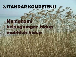 2.STANDAR KOMPETENSI Memahami kelangsungan hidup makhluk hidup 