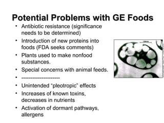 Potential Problems with GE Foods
• Antibiotic resistance (significance
  needs to be determined)
• Introduction of new proteins into
  foods (FDA seeks comments)
• Plants used to make nonfood
  substances.
• Special concerns with animal feeds.
• ---------------------
• Unintended “pleotropic” effects
• Increases of known toxins,
  decreases in nutrients
• Activation of dormant pathways,
  allergens
 