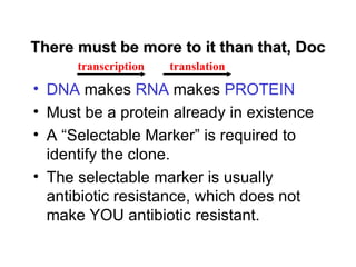 There must be more to it than that, Doc
      transcription   translation

• DNA makes RNA makes PROTEIN
• Must be a protein already in existence
• A “Selectable Marker” is required to
  identify the clone.
• The selectable marker is usually
  antibiotic resistance, which does not
  make YOU antibiotic resistant.
 