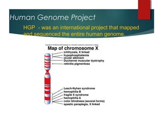 Human Genome Project
   HGP - was an international project that mapped
   and sequenced the entire human genome.
 