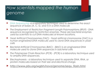 How scientists mapped the human
genome

   DNA Sequencing -is a laboratory technique used to determine the exact
    sequence of bases (A, C, G, and T) in a DNA molecule
   The Employment of Restriction Fragment-Length Polymorphisms (RFLP) - DNA
    sequence recognized by restriction enzymes. These are bacterial enzymes
    used by scientists to cut DNA molecules at known locations.
   Yeast Artificial Chromosomes (YAC) - Yeast artificial chromosome (YAC) is a
    human-engineered DNA molecule used to clone DNA sequences in yeast
    cells
   Bacterial Artificial Chromosomes (BAC) - (BAC) is an engineered DNA
    molecule used to clone DNA sequences in bacterial cells
   The Polymerase Chain Reaction (PCR) - (PCR) is a laboratory technique used
    to amplify DNA sequences.
   Electrophoresis - a laboratory technique used to separate DNA, RNA, or
    protein molecules based on their size and electrical charge.
   http://www.pbs.org/wgbh/nova/genome/sequ_flash.html
 