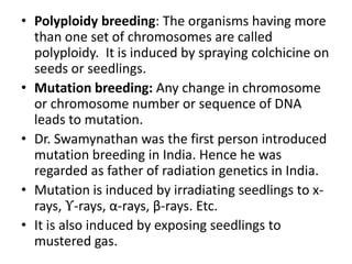 • Polyploidy breeding: The organisms having more
than one set of chromosomes are called
polyploidy. It is induced by spraying colchicine on
seeds or seedlings.
• Mutation breeding: Any change in chromosome
or chromosome number or sequence of DNA
leads to mutation.
• Dr. Swamynathan was the first person introduced
mutation breeding in India. Hence he was
regarded as father of radiation genetics in India.
• Mutation is induced by irradiating seedlings to xrays, ϒ-rays, α-rays, β-rays. Etc.
• It is also induced by exposing seedlings to
mustered gas.

 
