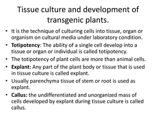 Tissue culture and development of
transgenic plants.
• It is the technique of culturing cells into tissue, organ or
organism on cultural media under laboratory condition.
• Totipotency: The ability of a single cell develop into a
tissue or organ or individual is called totipotency.
• The totipotency of plant cells are more than animal cells.
• Explant: Any part of the plant body or tissue that is used
in tissue culture is called explant.
• Usually parenchyma tissue of stem or root is used as
explant.
• Callus: the undifferentiated and unorganized mass of
cells developed by explant during tissue culture is called
callus.

 