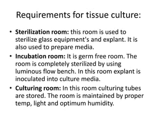 Requirements for tissue culture:
• Sterilization room: this room is used to
sterilize glass equipment's and explant. It is
also used to prepare media.
• Incubation room: It is germ free room. The
room is completely sterilized by using
luminous flow bench. In this room explant is
inoculated into culture media.
• Culturing room: In this room culturing tubes
are stored. The room is maintained by proper
temp, light and optimum humidity.

 