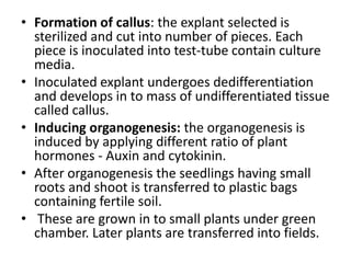 • Formation of callus: the explant selected is
sterilized and cut into number of pieces. Each
piece is inoculated into test-tube contain culture
media.
• Inoculated explant undergoes dedifferentiation
and develops in to mass of undifferentiated tissue
called callus.
• Inducing organogenesis: the organogenesis is
induced by applying different ratio of plant
hormones - Auxin and cytokinin.
• After organogenesis the seedlings having small
roots and shoot is transferred to plastic bags
containing fertile soil.
• These are grown in to small plants under green
chamber. Later plants are transferred into fields.

 