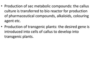 • Production of sec metabolic compounds: the callus
culture is transferred to bio reactor for production
of pharmaceutical compounds, alkaloids, colouring
agent etc.
• Production of transgenic plants: the desired gene is
introduced into cells of callus to develop into
transgenic plants.

 