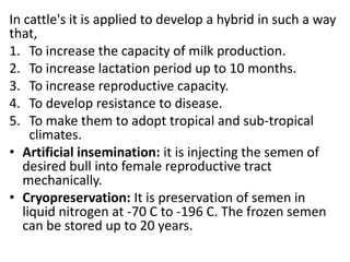In cattle's it is applied to develop a hybrid in such a way
that,
1. To increase the capacity of milk production.
2. To increase lactation period up to 10 months.
3. To increase reproductive capacity.
4. To develop resistance to disease.
5. To make them to adopt tropical and sub-tropical
climates.
• Artificial insemination: it is injecting the semen of
desired bull into female reproductive tract
mechanically.
• Cryopreservation: It is preservation of semen in
liquid nitrogen at -70 C to -196 C. The frozen semen
can be stored up to 20 years.

 