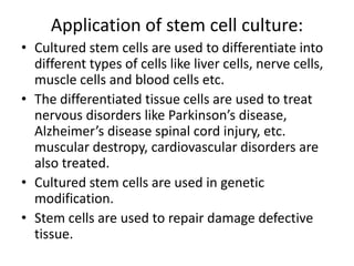 Application of stem cell culture:
• Cultured stem cells are used to differentiate into
different types of cells like liver cells, nerve cells,
muscle cells and blood cells etc.
• The differentiated tissue cells are used to treat
nervous disorders like Parkinson’s disease,
Alzheimer’s disease spinal cord injury, etc.
muscular destropy, cardiovascular disorders are
also treated.
• Cultured stem cells are used in genetic
modification.
• Stem cells are used to repair damage defective
tissue.

 