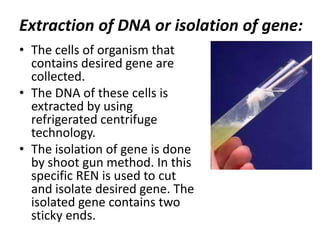 Extraction of DNA or isolation of gene:
• The cells of organism that
contains desired gene are
collected.
• The DNA of these cells is
extracted by using
refrigerated centrifuge
technology.
• The isolation of gene is done
by shoot gun method. In this
specific REN is used to cut
and isolate desired gene. The
isolated gene contains two
sticky ends.

 