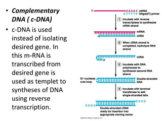 • Complementary
DNA ( c-DNA)
• c-DNA is used
instead of isolating
desired gene. In
this m-RNA is
transcribed from
desired gene is
used as templet to
syntheses of DNA
using reverse
transcription.

 