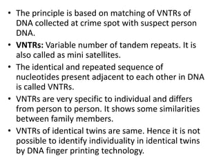 • The principle is based on matching of VNTRs of
DNA collected at crime spot with suspect person
DNA.
• VNTRs: Variable number of tandem repeats. It is
also called as mini satellites.
• The identical and repeated sequence of
nucleotides present adjacent to each other in DNA
is called VNTRs.
• VNTRs are very specific to individual and differs
from person to person. It shows some similarities
between family members.
• VNTRs of identical twins are same. Hence it is not
possible to identify individuality in identical twins
by DNA finger printing technology.

 