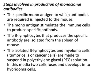 Steps involved in production of monoclonal
antibodies.
• The specific mono antigen to which antibodies
are required is injected to the mouse.
• The mono antigen stimulates the immune cells
to produce specific antibody.
• The B-lymphocytes that produces the specific
antibody are isolated from the spleen of
mouse.
• The isolated B-lymphocytes and myeloma cells
( tumor cells or cancer cells) are made to
suspend in polyethylene glycol (PEG) solution.
In this media two cells fuses and develops in to
hybridoma cells.

 