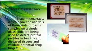 Biotechnology and their Applications | PPTX