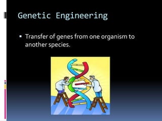 Genetic Engineering
 Transfer of genes from one organism to
another species.
 