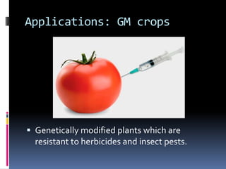 Applications: GM crops
 Genetically modified plants which are
resistant to herbicides and insect pests.
 