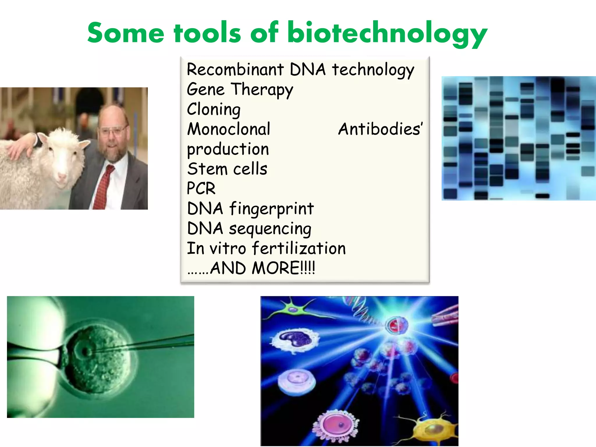 Some tools of biotechnology
Recombinant DNA technology
Gene Therapy
Cloning
Monoclonal Antibodies’
production
Stem cells
PCR
DNA fingerprint
DNA sequencing
In vitro fertilization
……AND MORE!!!!
 