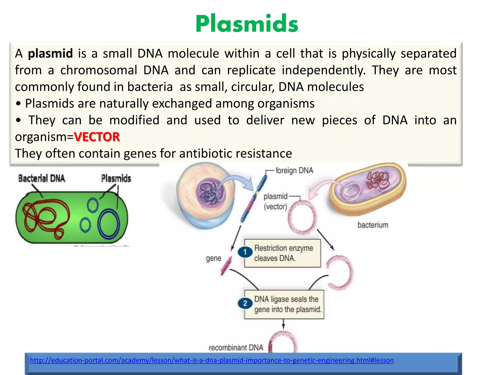 18
Plasmids
A plasmid is a small DNA molecule within a cell that is physically separated
from a chromosomal DNA and can replicate independently. They are most
commonly found in bacteria as small, circular, DNA molecules
• Plasmids are naturally exchanged among organisms
• They can be modified and used to deliver new pieces of DNA into an
organism=VECTOR
They often contain genes for antibiotic resistance
http://education-portal.com/academy/lesson/what-is-a-dna-plasmid-importance-to-genetic-engineering.html#lesson
 