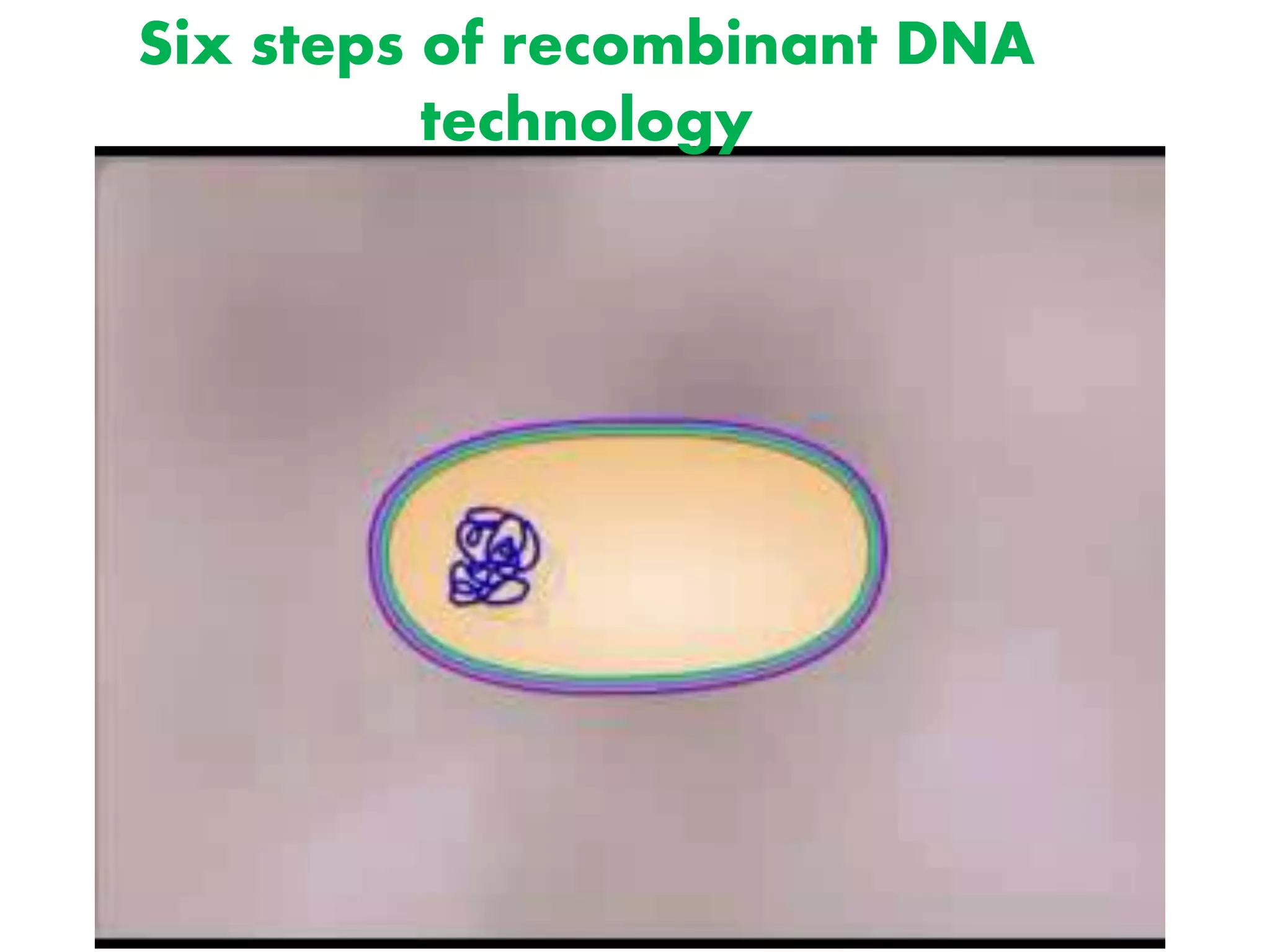 Six steps of recombinant DNA
technology
 