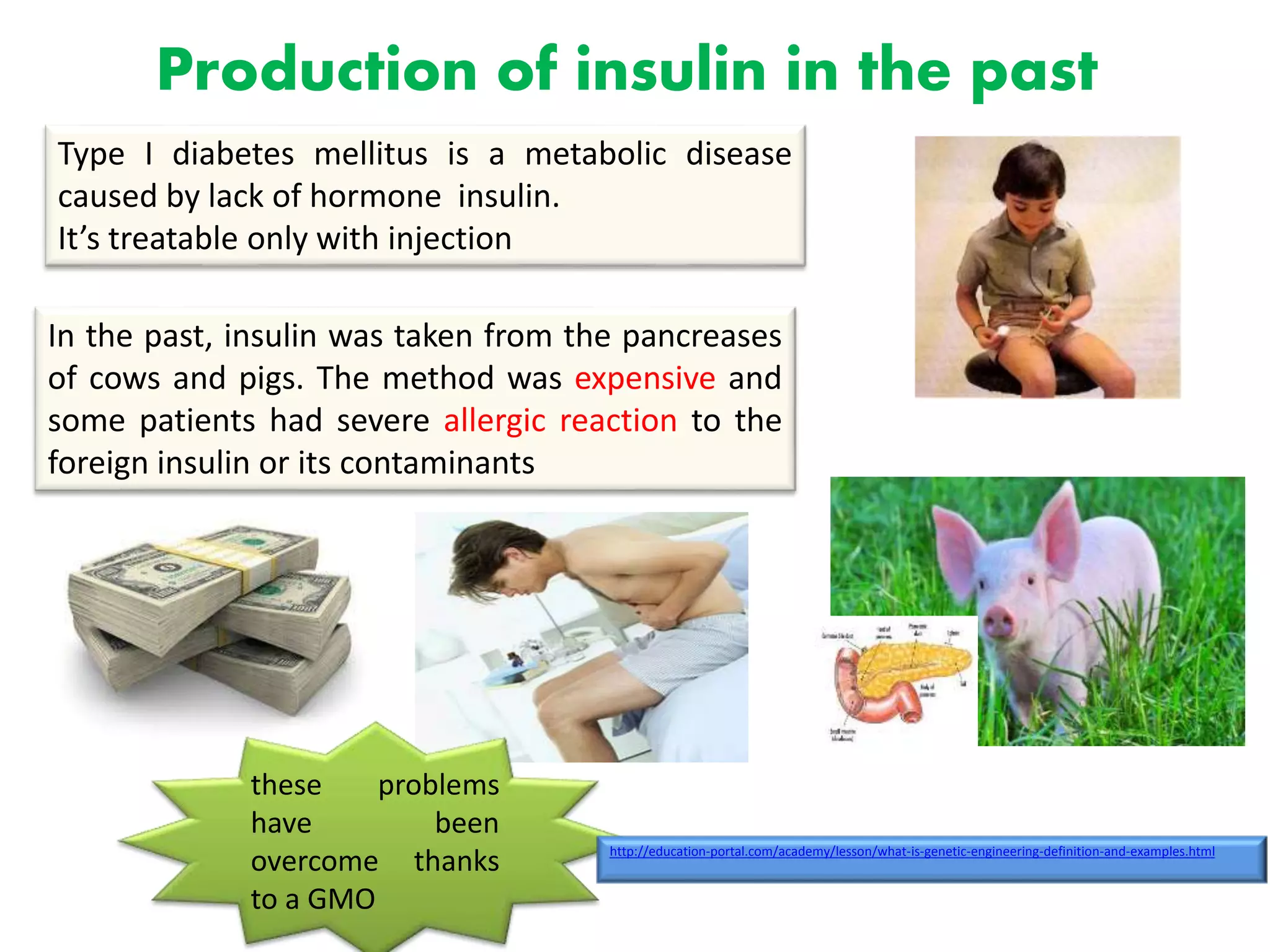 Production of insulin in the past
Type I diabetes mellitus is a metabolic disease
caused by lack of hormone insulin.
It’s treatable only with injection
In the past, insulin was taken from the pancreases
of cows and pigs. The method was expensive and
some patients had severe allergic reaction to the
foreign insulin or its contaminants
these problems
have been
overcome thanks
to a GMO
http://education-portal.com/academy/lesson/what-is-genetic-engineering-definition-and-examples.html
 
