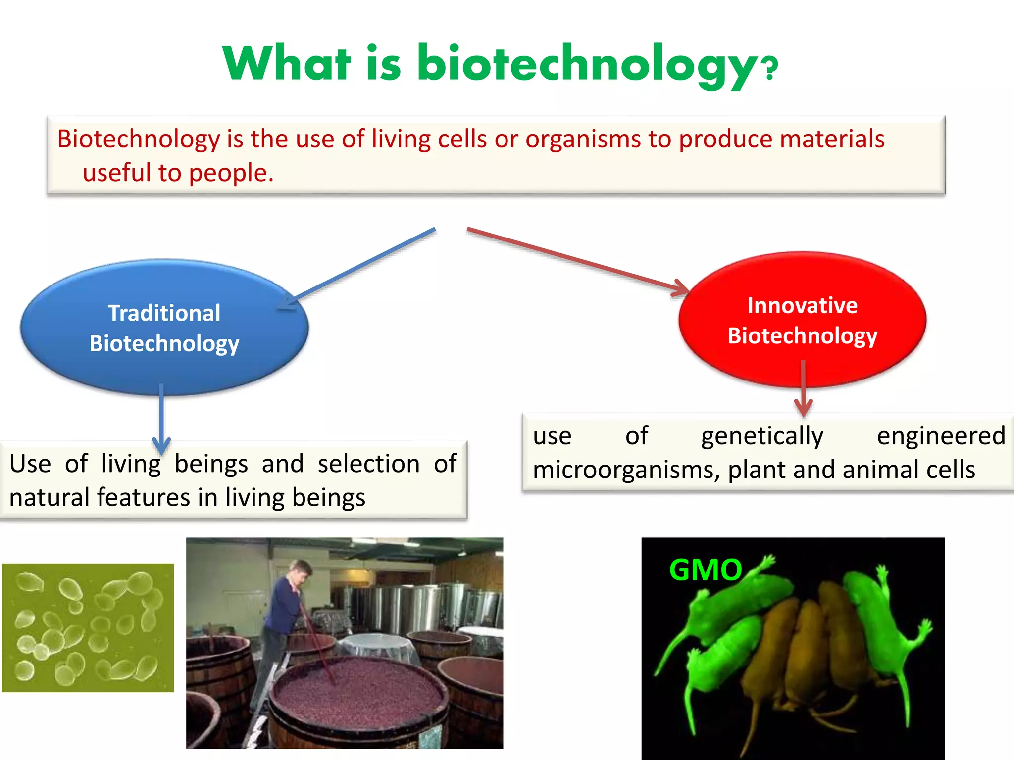 What is biotechnology?
Biotechnology is the use of living cells or organisms to produce materials
useful to people.
Traditional
Biotechnology
Innovative
Biotechnology
Use of living beings and selection of
natural features in living beings
use of genetically engineered
microorganisms, plant and animal cells
GMO
 