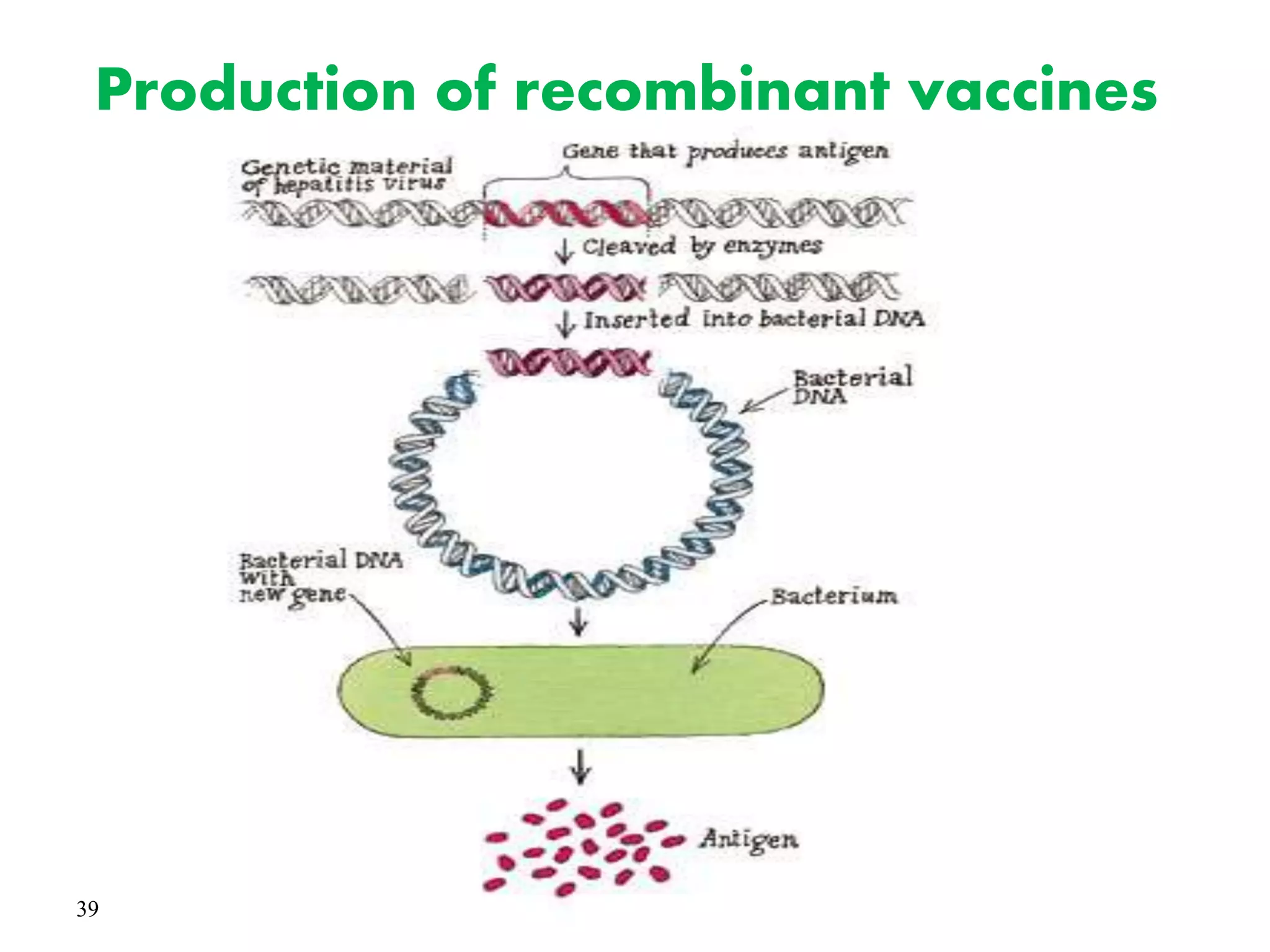 39
Production of recombinant vaccines
 