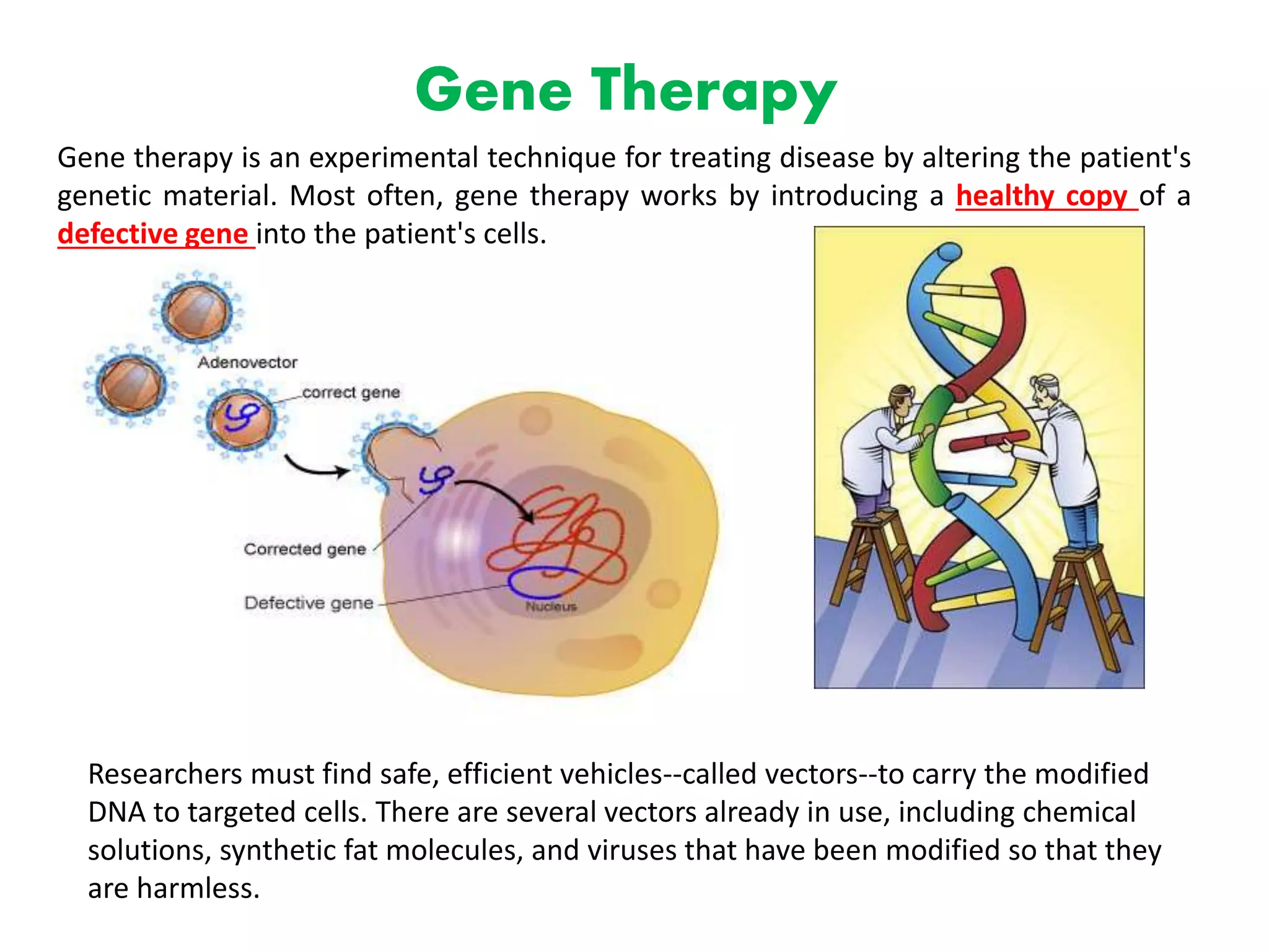 Gene Therapy
Gene therapy is an experimental technique for treating disease by altering the patient's
genetic material. Most often, gene therapy works by introducing a healthy copy of a
defective gene into the patient's cells.
Researchers must find safe, efficient vehicles--called vectors--to carry the modified
DNA to targeted cells. There are several vectors already in use, including chemical
solutions, synthetic fat molecules, and viruses that have been modified so that they
are harmless.
 