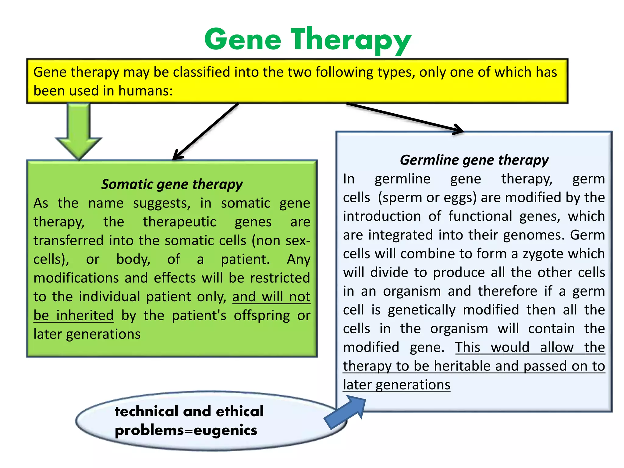 Gene Therapy
Gene therapy may be classified into the two following types, only one of which has
been used in humans:
Somatic gene therapy
As the name suggests, in somatic gene
therapy, the therapeutic genes are
transferred into the somatic cells (non sex-
cells), or body, of a patient. Any
modifications and effects will be restricted
to the individual patient only, and will not
be inherited by the patient's offspring or
later generations
Germline gene therapy
In germline gene therapy, germ
cells (sperm or eggs) are modified by the
introduction of functional genes, which
are integrated into their genomes. Germ
cells will combine to form a zygote which
will divide to produce all the other cells
in an organism and therefore if a germ
cell is genetically modified then all the
cells in the organism will contain the
modified gene. This would allow the
therapy to be heritable and passed on to
later generations
technical and ethical
problems=eugenics
 