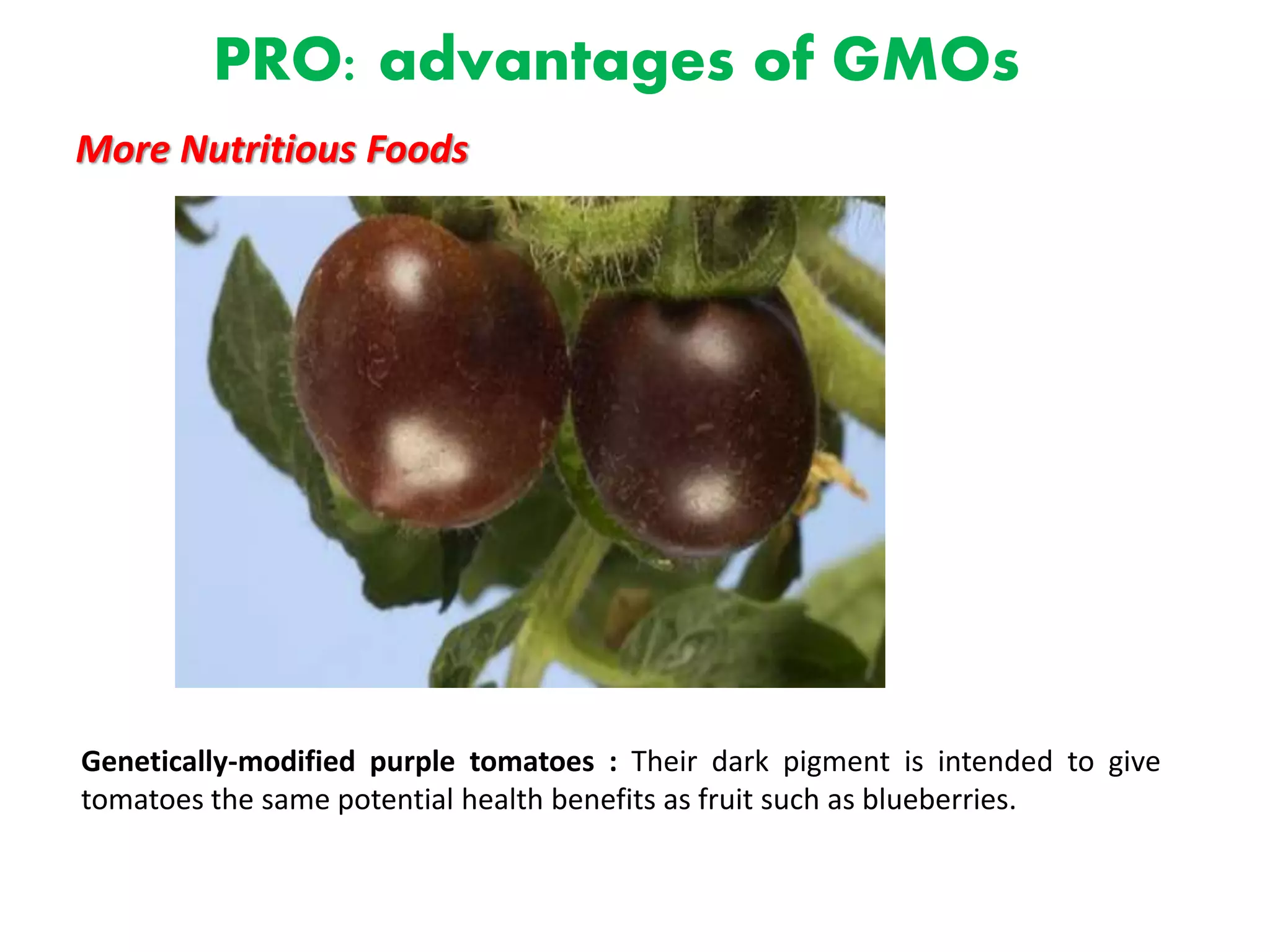 PRO: advantages of GMOs
More Nutritious Foods
Genetically-modified purple tomatoes : Their dark pigment is intended to give
tomatoes the same potential health benefits as fruit such as blueberries.
 