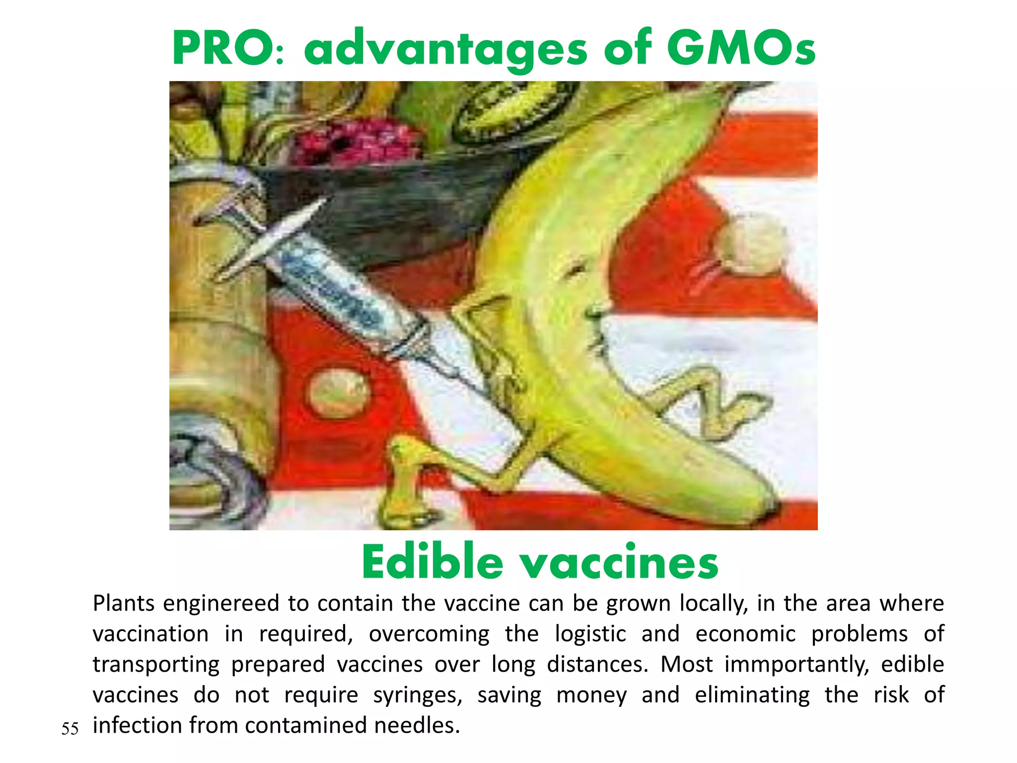 55
Edible vaccines
Plants enginereed to contain the vaccine can be grown locally, in the area where
vaccination in required, overcoming the logistic and economic problems of
transporting prepared vaccines over long distances. Most immportantly, edible
vaccines do not require syringes, saving money and eliminating the risk of
infection from contamined needles.
PRO: advantages of GMOs
 