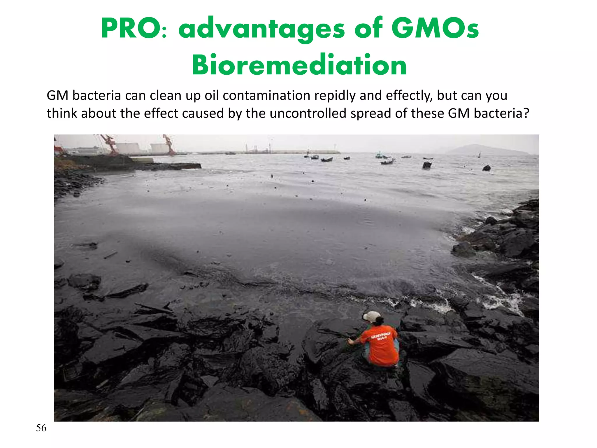 56
Bioremediation
PRO: advantages of GMOs
GM bacteria can clean up oil contamination repidly and effectly, but can you
think about the effect caused by the uncontrolled spread of these GM bacteria?
 