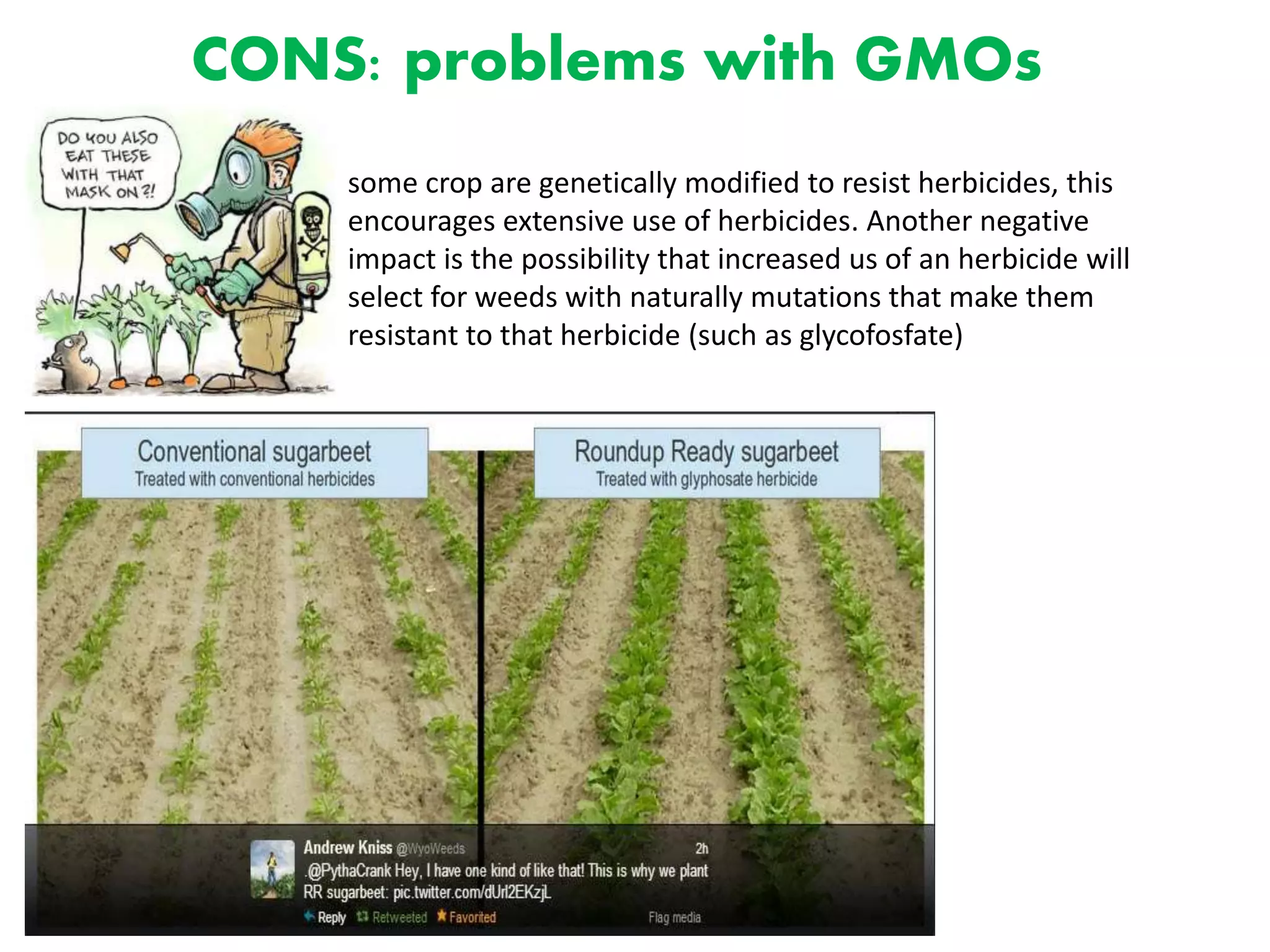 CONS: problems with GMOs
some crop are genetically modified to resist herbicides, this
encourages extensive use of herbicides. Another negative
impact is the possibility that increased us of an herbicide will
select for weeds with naturally mutations that make them
resistant to that herbicide (such as glycofosfate)
 