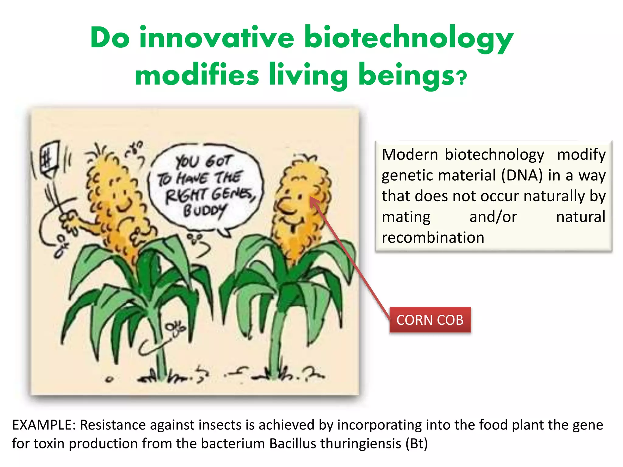 Do innovative biotechnology
modifies living beings?
Modern biotechnology modify
genetic material (DNA) in a way
that does not occur naturally by
mating and/or natural
recombination
EXAMPLE: Resistance against insects is achieved by incorporating into the food plant the gene
for toxin production from the bacterium Bacillus thuringiensis (Bt)
CORN COB
 