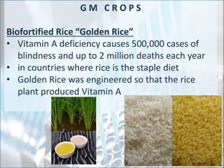 37
GMO’s & FOOD
Two major categories of GMO crops:
1. Crops to resist pests= turning plant into its
own pesticide
2. Crops resistant to herbicide, Roundup=
farmers spray crops with Roundup & all
plants/weeds are killed except the crop
 