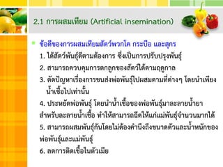  ข้อดีของการผสมเทียมสัตว์พวกโค กระบือ และสุกร
1. ได้สัตว์พันธุ์ดีตามต้องการ ซึ่งเป็นการปรับปรุงพันธุ์
2. สามารถควบคุมการตกลูกของสัตว์ได้ตามฤดูกาล
3. ตัดปัญหาเรื่องการขนส่งพ่อพันธุ์ไปผสมตามที่ต่างๆ โดยนาเพียง
น้าเชื้อไปเท่านั้น
4. ประหยัดพ่อพันธุ์ โดยนาน้าเชื้อของพ่อพันธุ์มาละลายน้ายา
สาหรับละลายน้าเชื้อ ทาให้สามารถฉีดให้แก่แม่พันธุ์จานวนมากได้
5. สามารถผสมพันธุ์กันโดยไม่ต้องคานึงถึงขนาดตัวและน้าหนักของ
พ่อพันธุ์และแม่พันธุ์
6. ลดการติดเชื้อในตัวเมีย
2.1 การผสมเทียม (Artificial insemination)
 