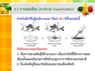  สาหรับสัตว์ที่ปฏิสนธิภายนอก ได้แก่ ปลา มีขั้นตอนดังนี้
ข้อดีของการผสมเทียมปลา
1. เป็นการขยายพันธุ์ได้จานวนมาก เนื่องจากไข่ที่ได้จากการผสม
เกือบทั้งหมดปริมาณการฟักตัวจะสูงกว่าการฟักตามธรรมชาติ
2. ป้องกันศัตรูที่จะมากินไข่ของปลาก่อนที่จะฟักตัว
2.1 การผสมเทียม (Artificial insemination)
 